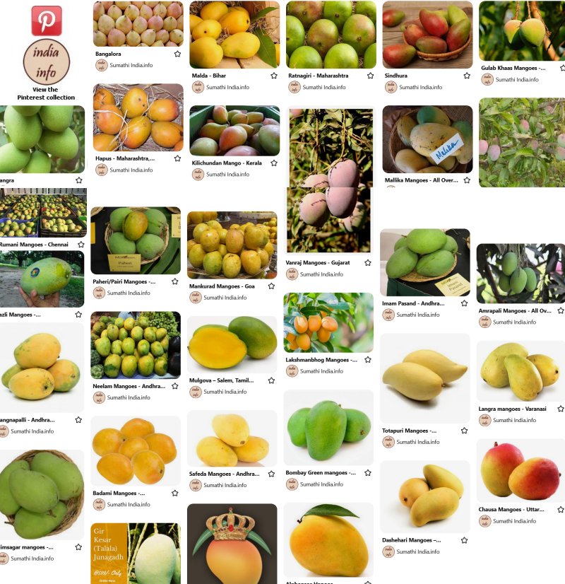 Mango varieties - Pinterest collection